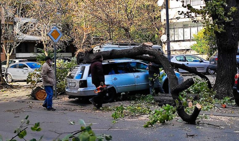 ФОТО: Две лица загинаа во силно невреме во Бугарија со ветер над 100 км/ч