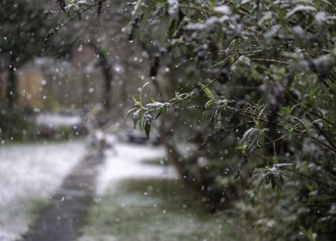 ИМАЈТЕ ПОЛН РЕЗЕРВОАР ГОРИВО АПЕЛИРА ЦУК: Снег на повисоките места во земјава, дожд на пониските во текот на целиот ден!