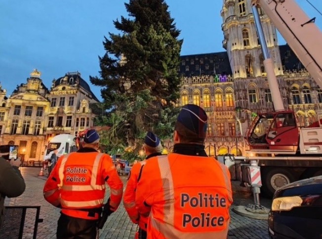 Новогодишната елка поставена на централниот плоштад во Брисел