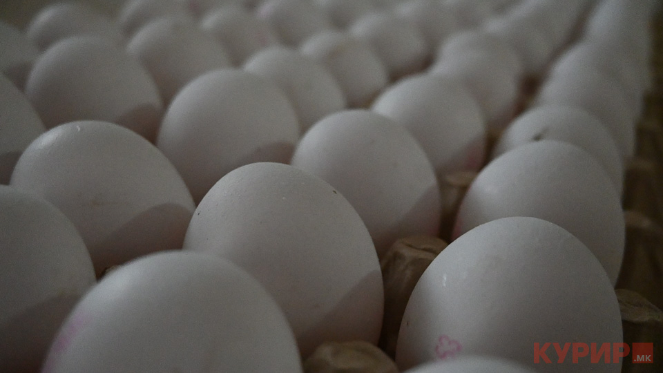 ЕУ ги враќа квотите и давачките за увоз на шеќер и јајца од Украина
