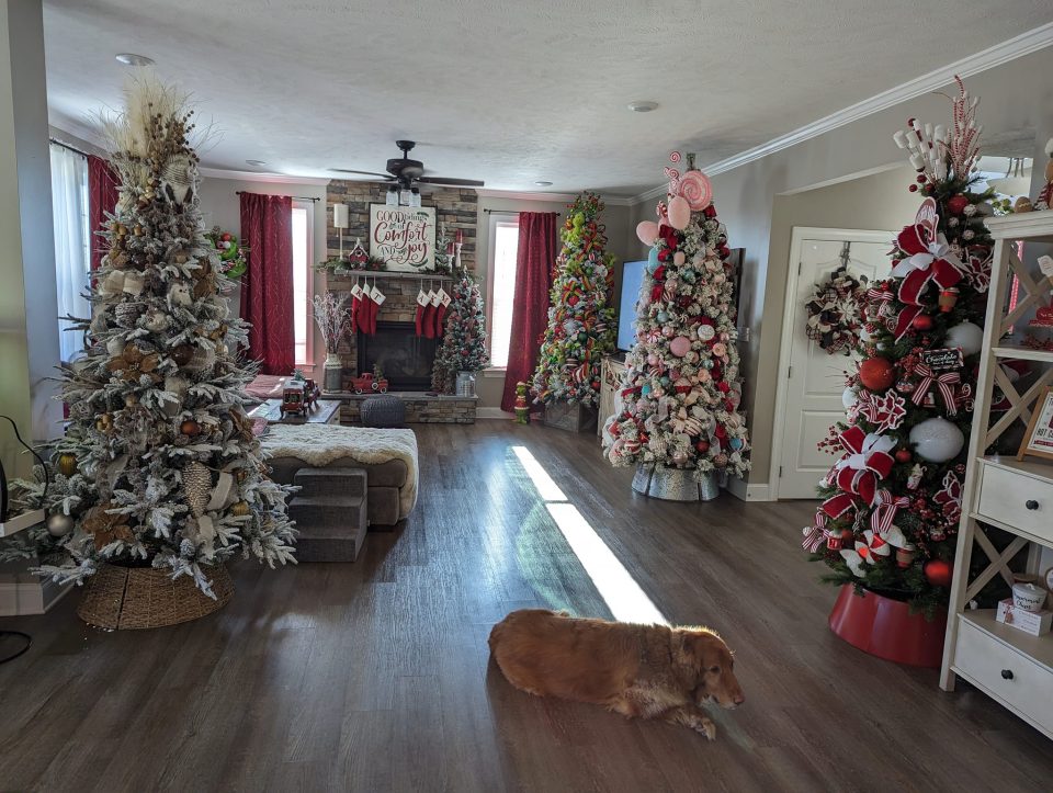ФОТО: Мел има 26 новогодишни елки во домот, и требаат три месеци да ги украси