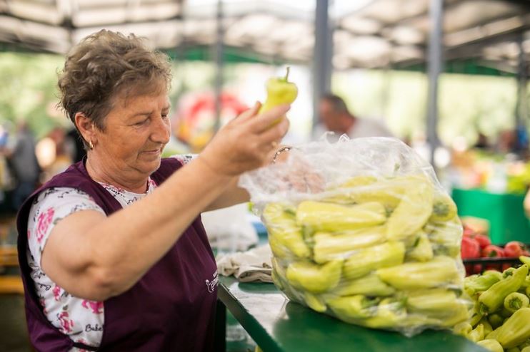 Атанасов: Откупните цени на пиперката оваа година се повисоки во однос на лани