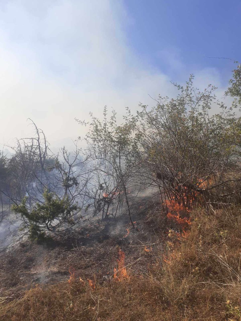 СВР Тетово со апел: Граѓаните да не палат огнови, казните за предизвикување пожар се ригорозни