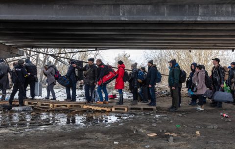 Половина од раселените Украинци изразиле подготвеност да се вратат во земјата