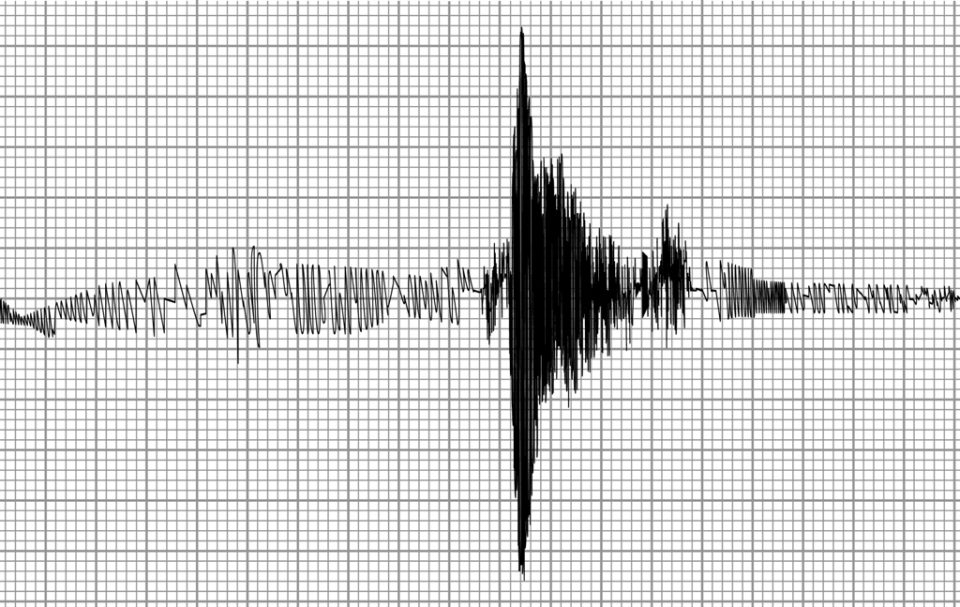 Земјотрес го стресе Скопје