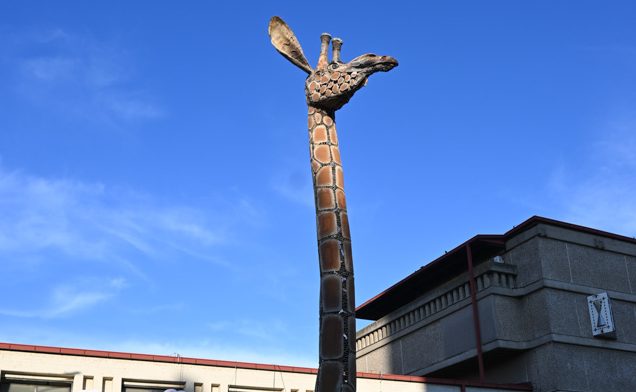 Кирков потврди: Угина последната жирафа во ЗОО Скопје, ФЛОПИ