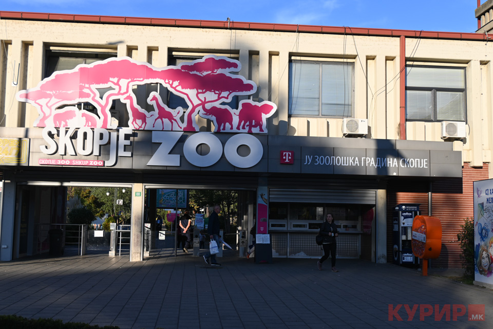 Угина Флопи, последната жирафа во скопската Зоолошка градина?!