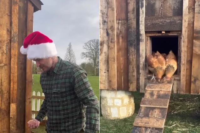 ВИДЕО: Дејвид Бекам доби необичен подарок за Божиќ, се израдува на кокошките