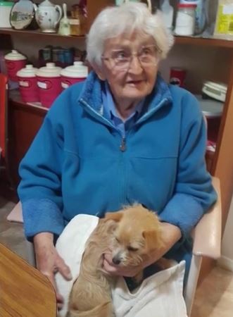 ВИДЕО: Кучето и го спасило животот на 90-годишна сопственичка – Не билo тренирано за такво нешто, но знаело што да направи