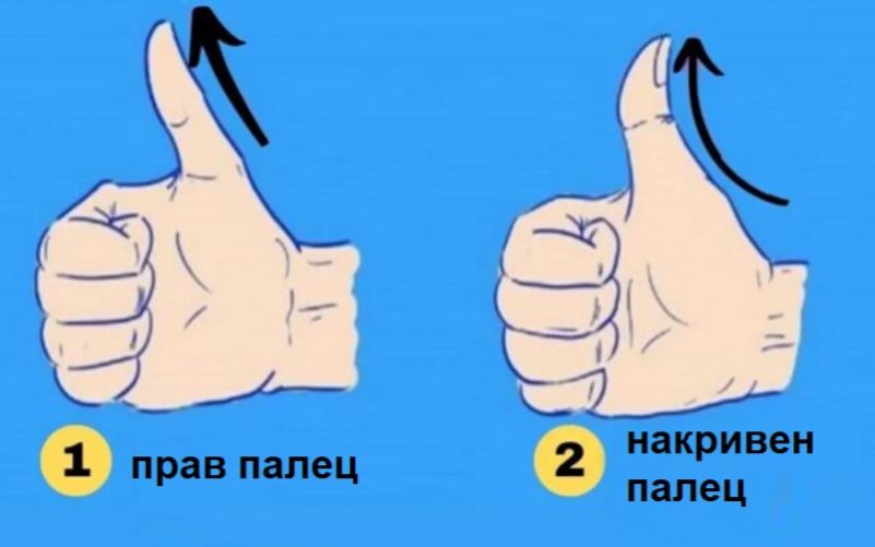 Накривен или прав: Формата на палецот открива клучни карактеристики на личноста