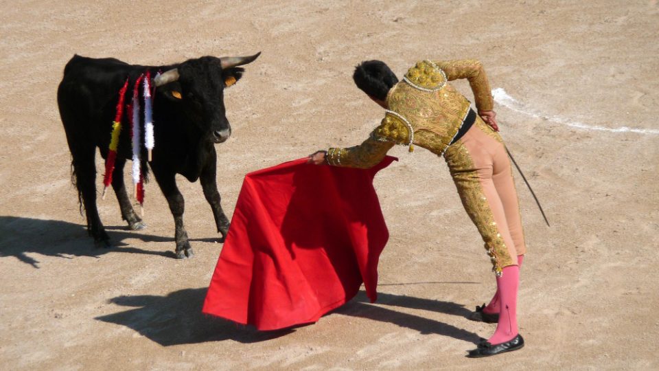 Борби со бикови повторно во Мексико