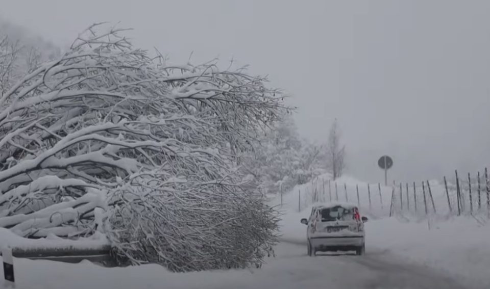 Германија се подготвува за сообраќаен хаос поради очекуваните обилни снежни врнежи
