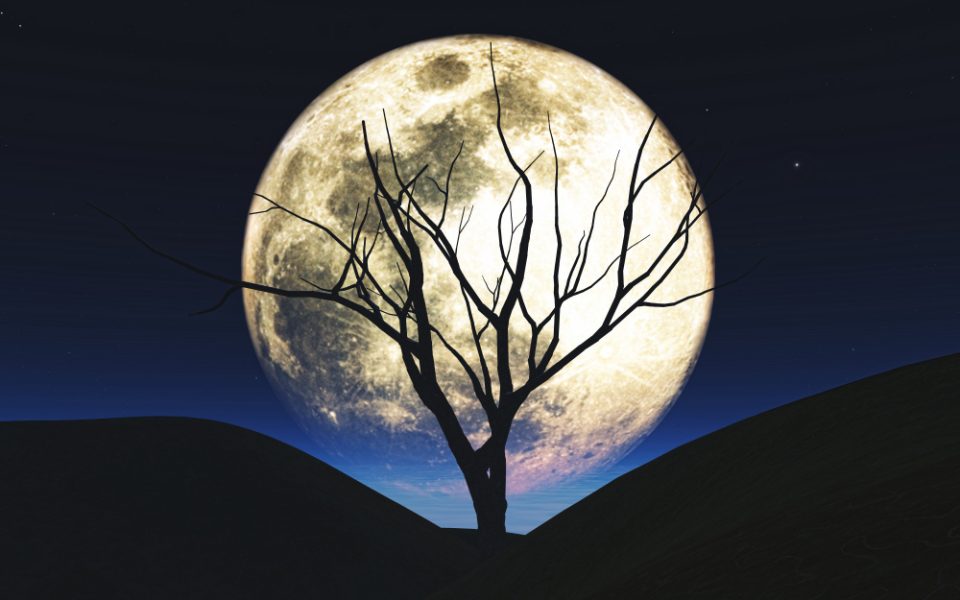 Полна Mесечина во Девица од 24 февруари: Обрнете внимание на вашиот ум, тело и душа