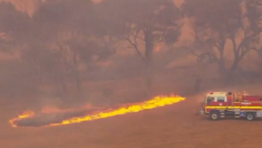 ВИДЕО: Илјадници луѓе во Австралија се повикани да се евакуираат поради шумски пожар