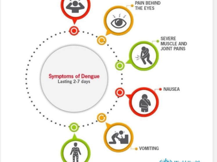 Повеќе од 5,5 милиони случаи на денга во 2023 година