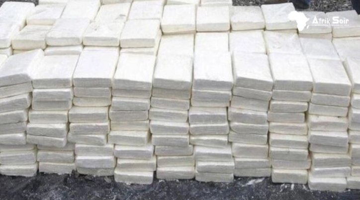 Во Гватемала запленети над 500 килограми кокаин