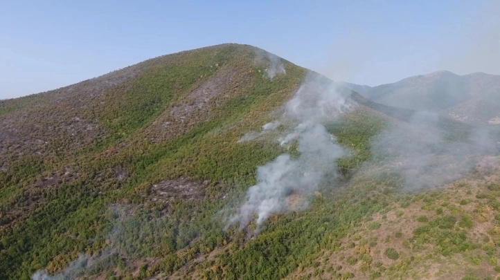 Шумски пожар во општина Демир Капија