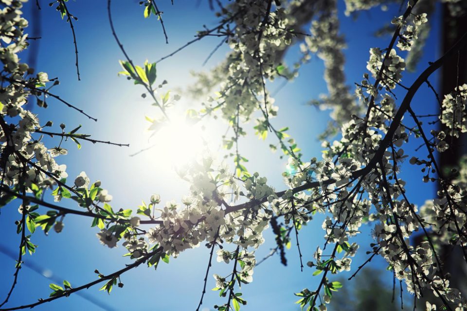 ЈАКНИТЕ СПАКУВАЈТЕ ГИ ДО ЕСЕН: Ни доаѓа сонцето и рекордни близу 30 степени, подгответе се за вистинска пролет – еве од кога!