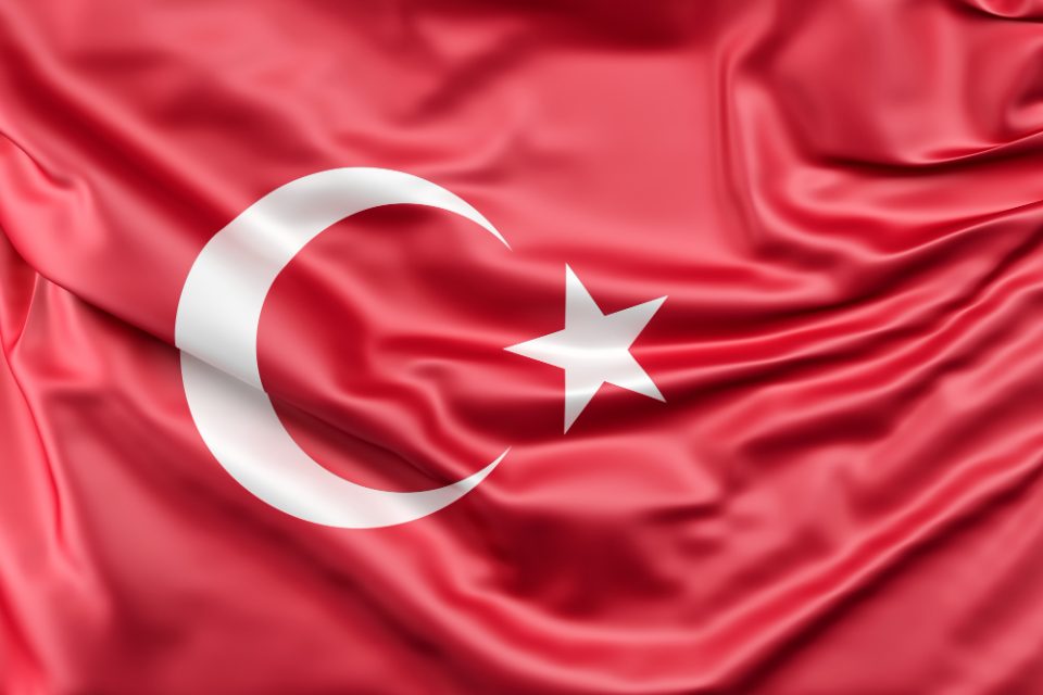 Над 20 приведени во антитерористичка акција против Исламска држава во Турција