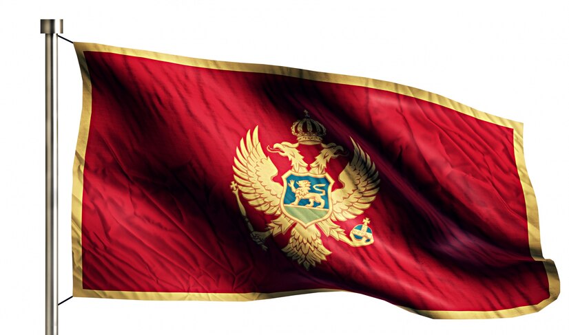 Црна Гора ќе го екстрадира кралот на криптовалутите