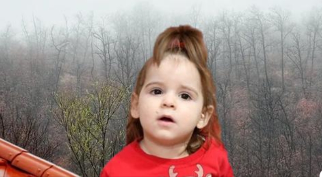ГОЛГОТА која трае 24 часа: Уште се трага по исчезнатото 2-годишно девојче во Србија