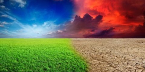 ЕУ треба да го забрза прилагодувањето кон климатските промени, тврдат експерти