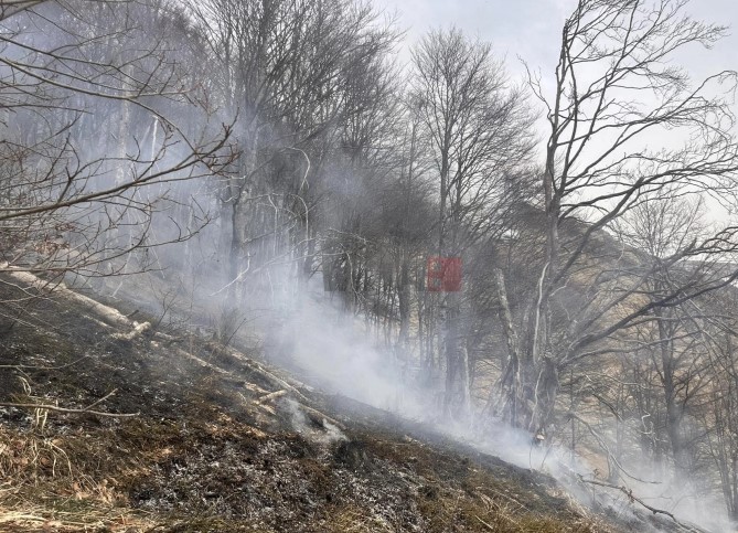 Локализиран пожарот над тетовското село Вешала