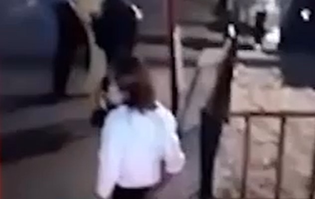 Виенската полиција посочува дека е изгубено многу време од појавувањето на снимката со девојчето