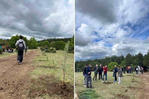 140 волонтери од Џонсон Мети засадија 2000 дрвца