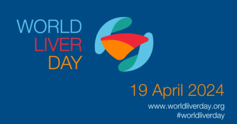 Светски ден на црниот дроб: Превенцијата, рано откривање и навремена интервенција клучни за заштита на здравјето на црниот дроб