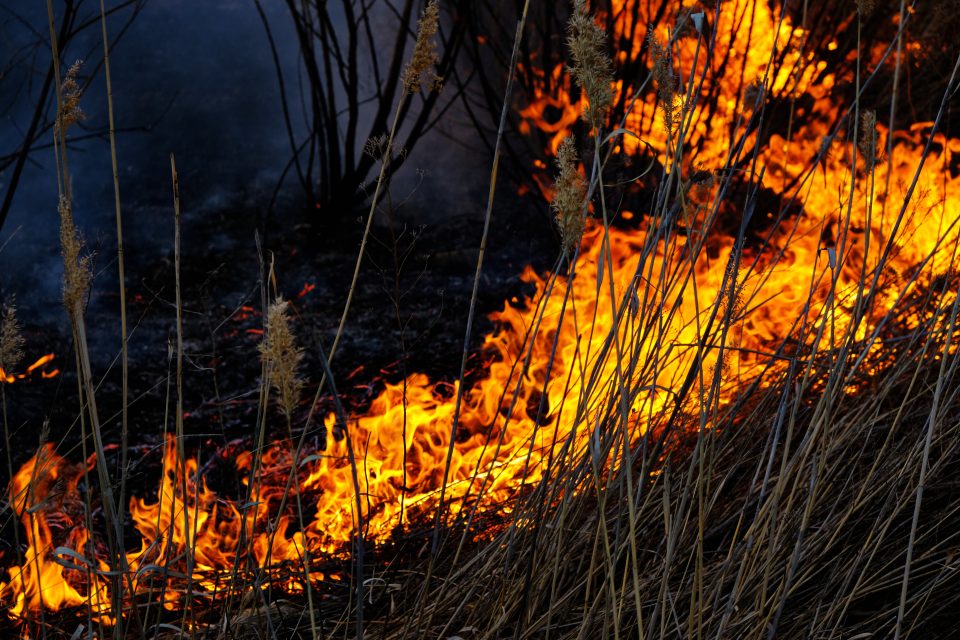 Два активни пожара, еве каде гори во Македонија