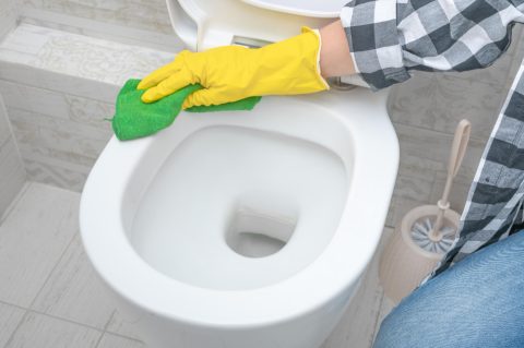 Овој материјал најдобро го отстранува бигорот од тоалетната школка
