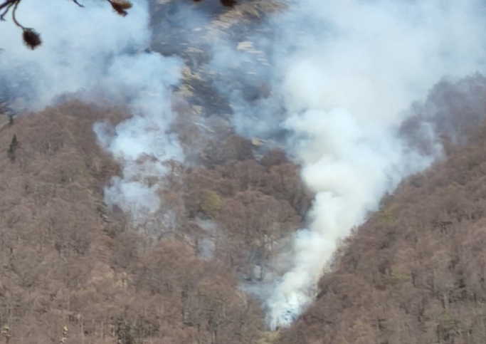 Пожарот на Баба Планина е под контрола, нема опасност од ширење