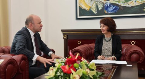 Средба на претседателката Сиљановска Давкова со австрискиот амбасадор Мартин Памер