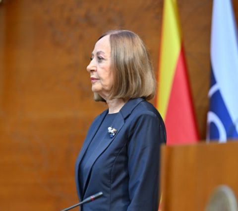 Закани кон претседателката на Уставен суд, Добрила Кацарска