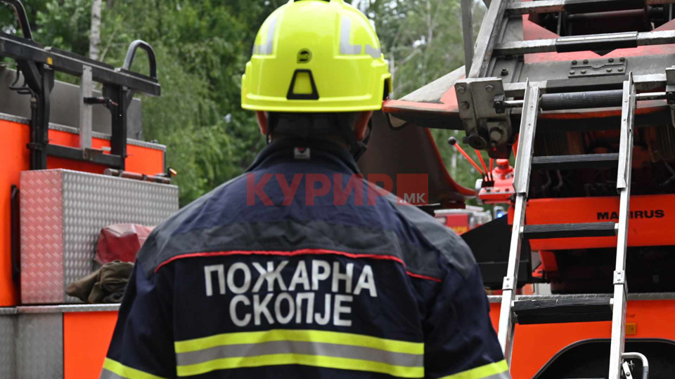 Две возила изгореа во пожар среде ноќ во Скопје
