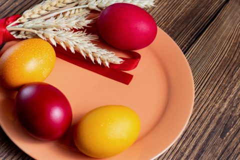 Не ги фрлајте лушпите од велигденските јајца, еве како да ги искористите – ќе направат чудо во вашата градина