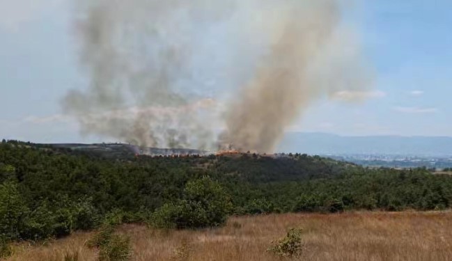 Пожарот кај Василево се шири кон селата Сушево и Злеово
