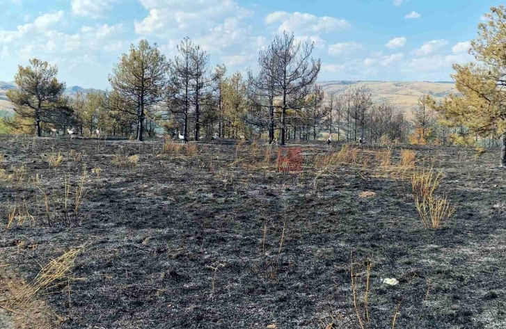 11 пожари низ државава за 24 часа, изгоре куќа и други објекти