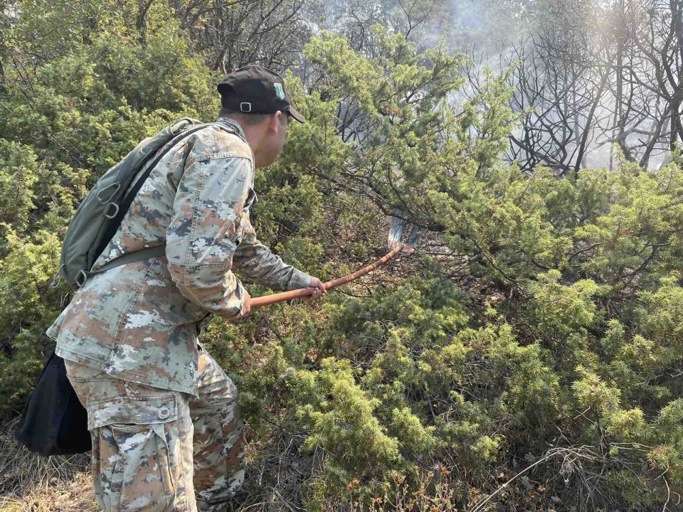 Гаснењето на пожарот на Серта продолжува утре од воздух и од копно