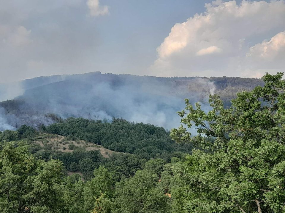 Пожарот на планината Серта се гаси од земја и воздух