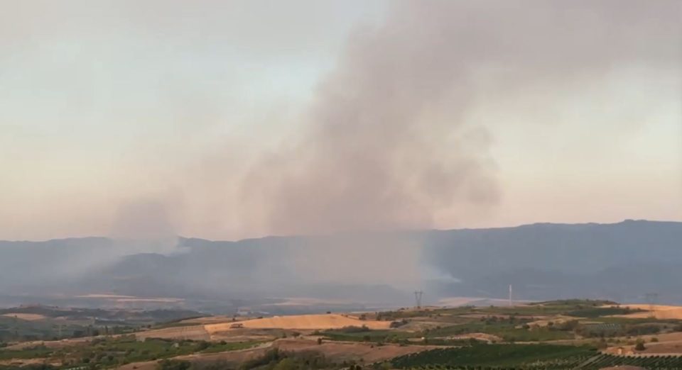 Гори нискостеблеста шума меѓу селата Дреново и Долно Јаболчиште во општина Чашка