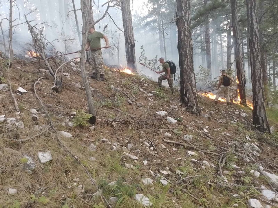 Припадници од три пешадиски баталјони се вклучени во гаснење на пожарите кои ја зафатија државава