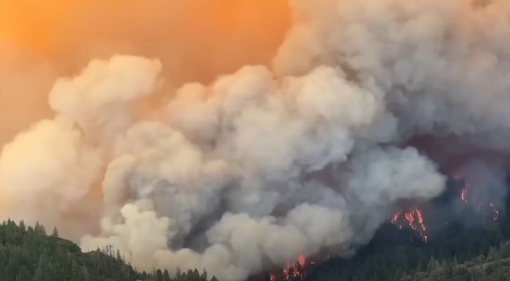 ВИДЕО: Беснее шумскиот пожар во Калифорнија, зголемен повеќе од двојно за 24 часа