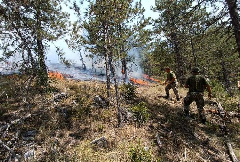 Припадниците од Армијата пожртвувано се “борат“ со огнена стихија, работат на спречување пожарот да се шири кон села