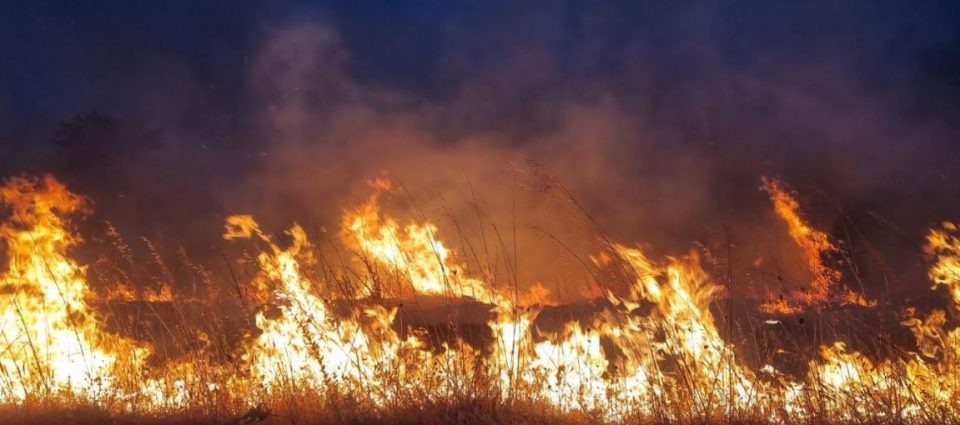 ИМ СЕ ПРЕВРТИЛО ВОЗИЛОТО: Повредени пожарникари во светиниколско додека огнот беснеел кон нив