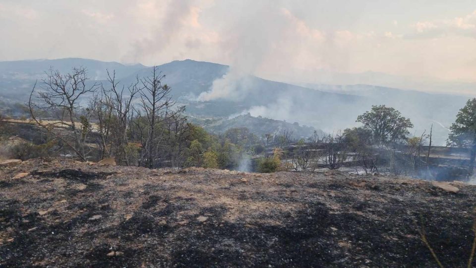 Влада: Само во јули регистрирани 620 пожари