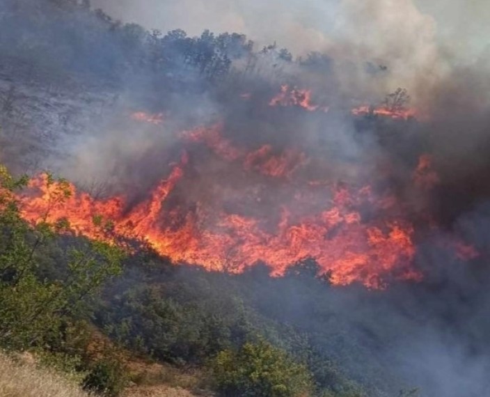 За утре најавено најмасовно гаснење на пожарот на Серта од воздух и од земја