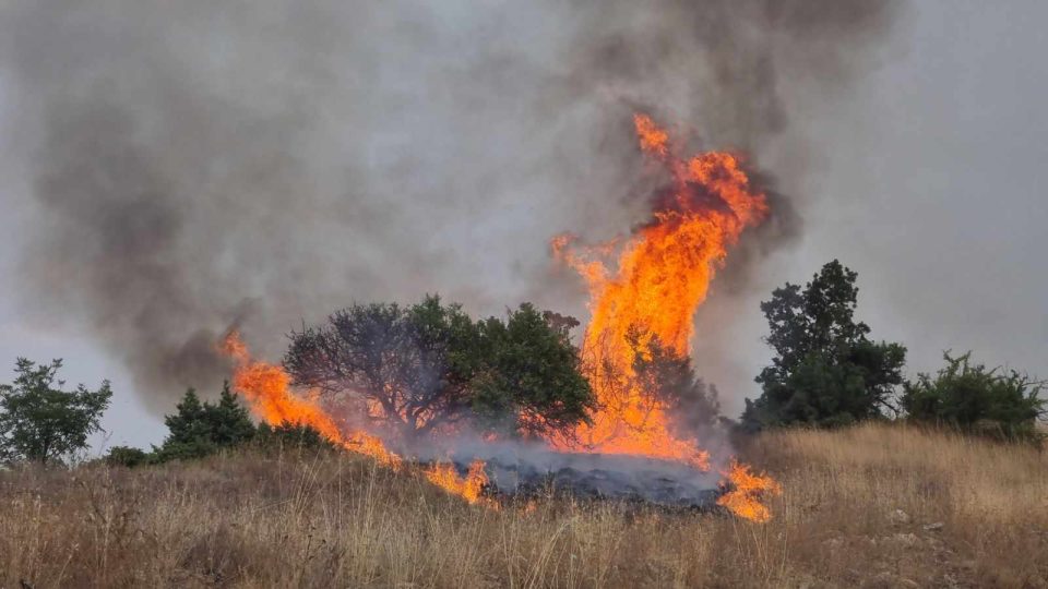 Изгаснат пожарот на дабова шума во липковско Матејче