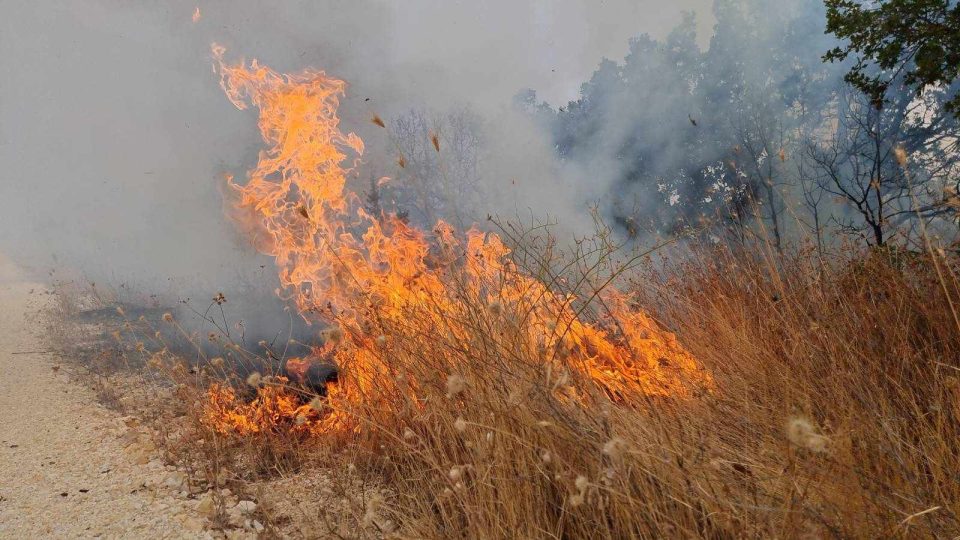 Гром предизивка пожар во општина Старо Нагоричане